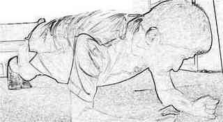 adiponectin_inner_muscle_okabe2.jpg