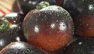 blacktomato.jpg