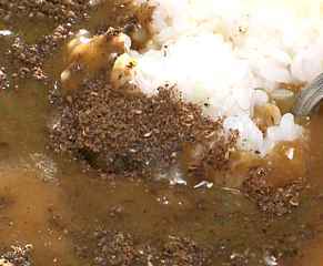 curry_tei2.jpg