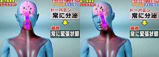 dopamine_muscle_2.jpg