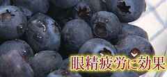 eye_blueberry.jpg