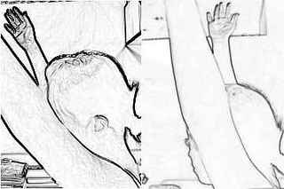 katakori_before_after2.jpg