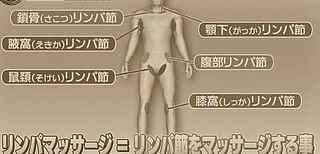 lymph_node.jpg