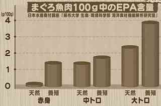 maguro_tennen_youshoku.jpg