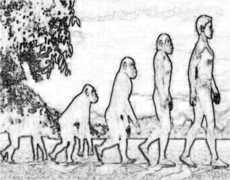 monkey_human1.jpg