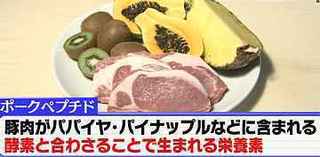 pork_peptide.jpg