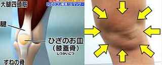 shitsugaikotsu_hiza_kori_massage_8_direction.jpg
